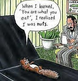 014-squirrel-psychiatrist-nuts.jpg