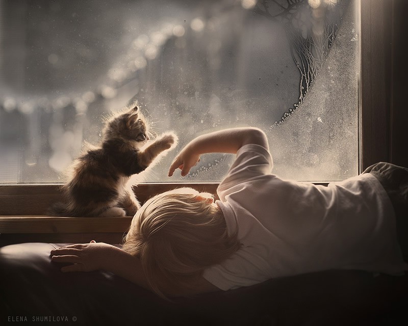 02_cat_boy_and_glass_elena_shumilova_photography.jpg