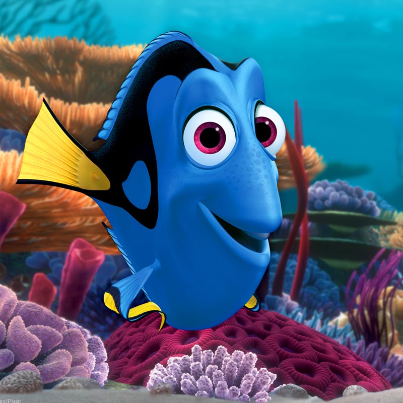 0_0914_dory1.jpg