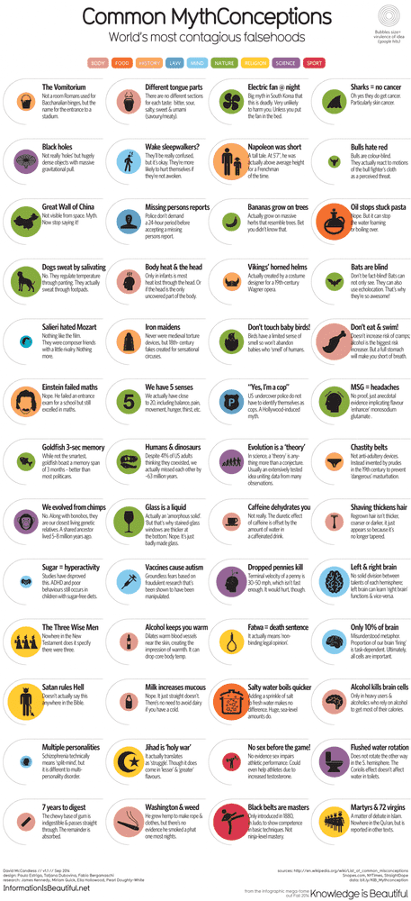 1276_common-mythconceptions_oct22nd.png