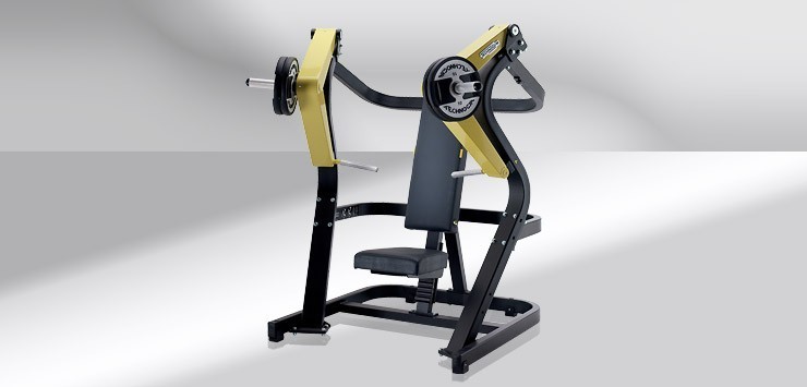 1555_chest_press_big1.jpg