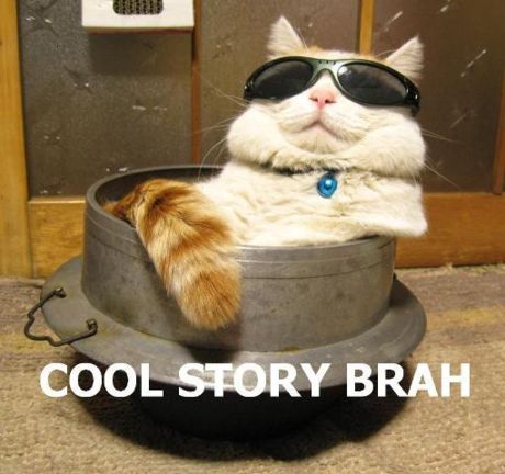 1897cool-story-brah-cat.jpg