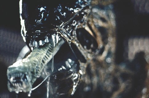 1979_alien_give_us_a_kiss.jpg