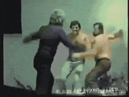 attack fighting GIF