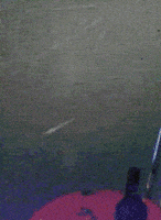 Drinking Beer Lol GIF by America's Funniest Home Videos's Funniest Home Videos