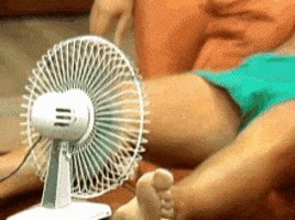 Fan Reaction GIF by MOODMAN