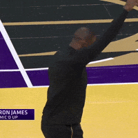 Happy Lebron James GIF by NBA
