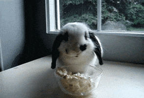 time popcorn GIF