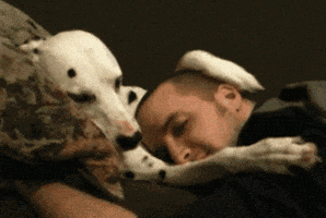 Friendship Hug GIF by The BarkPost