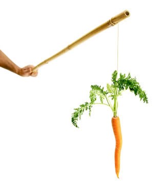 20070914-carrot_and_stick.jpg