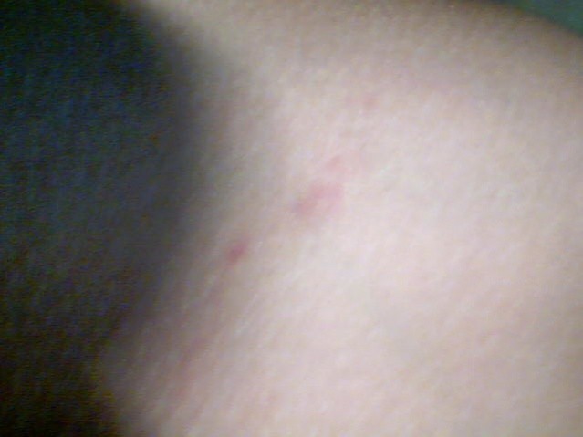 2010-11-18 16-50-06.308.jpg