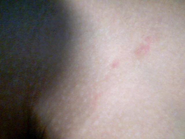 2010-11-18 16-50-10.076.jpg