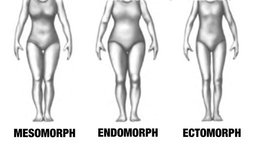 20120720092219-Mesomorph-Ectomorph-Endomorphs-3-three-body-types.jpg