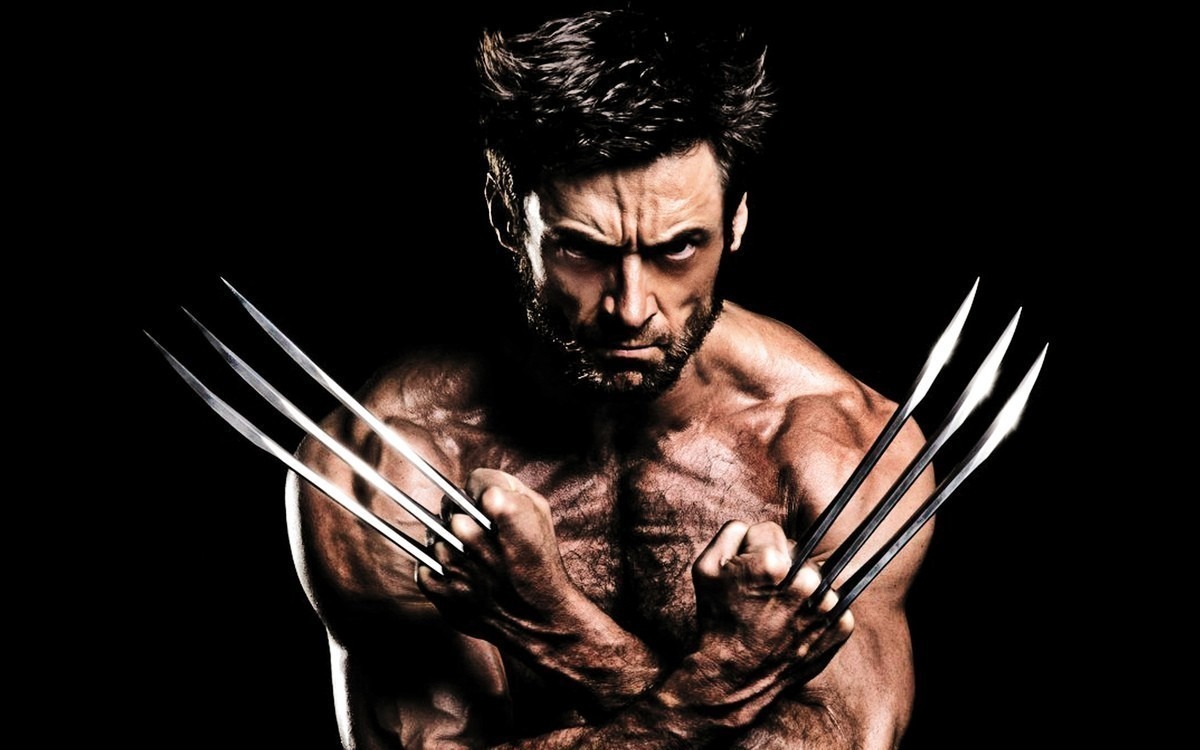 2013_the_wolverine-wide.jpg