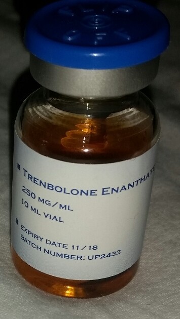 2015-11-16 12.00.42.jpg