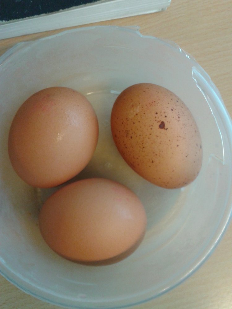 2017-07-12 10.13.41.jpg