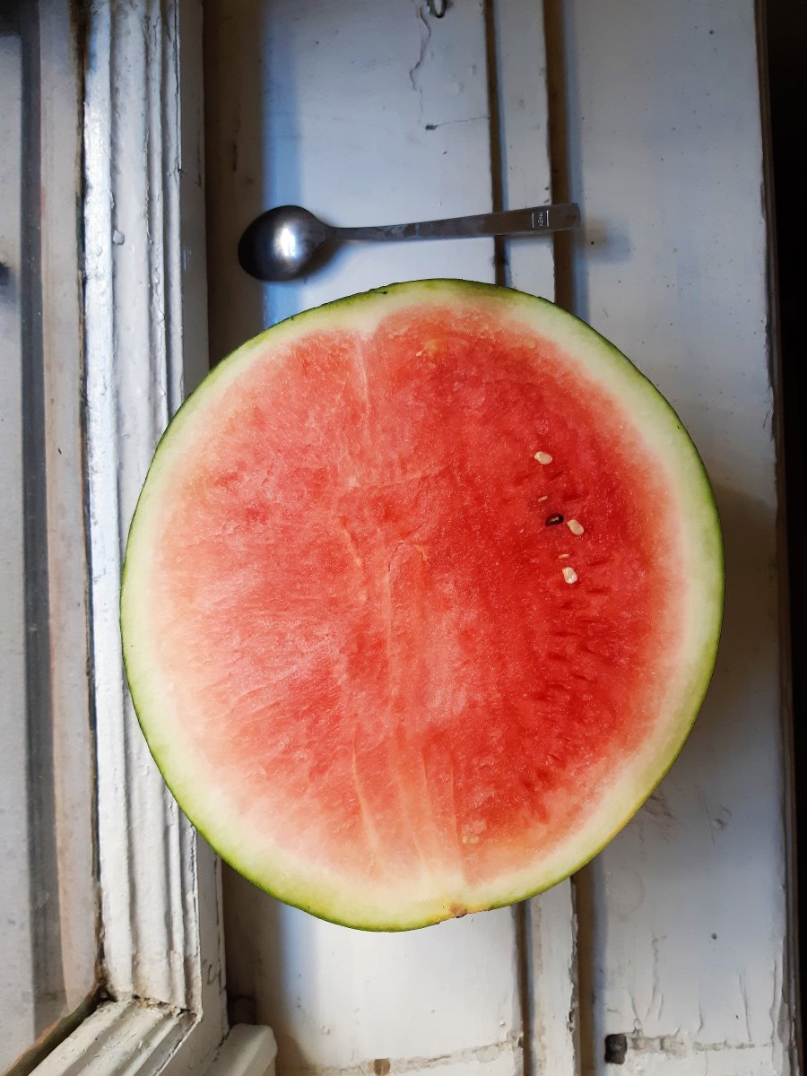 2018-07-01 05.00.16 1.jpg