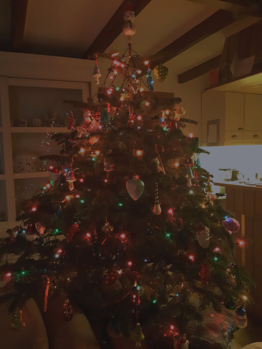 2018-12-24 05.50.39 1.jpg