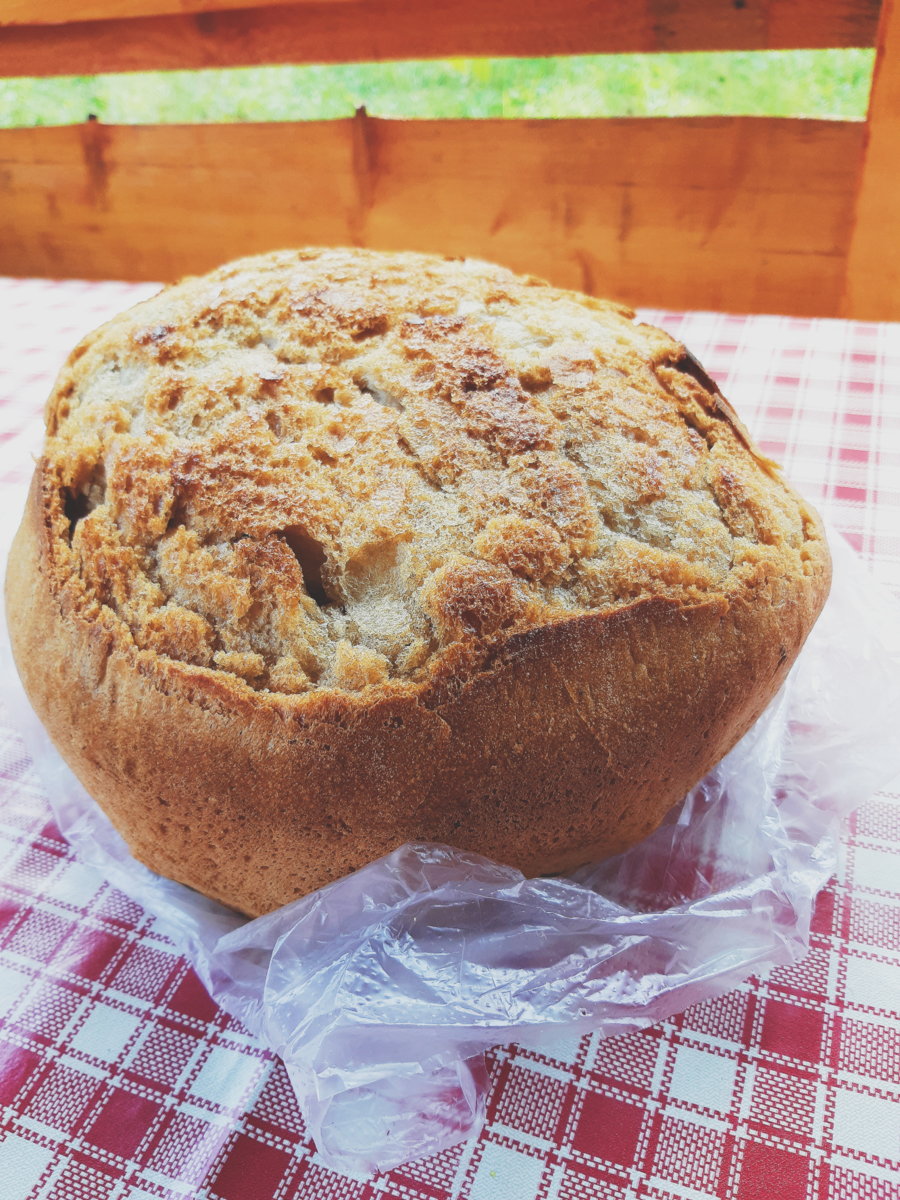 2019-06-04 03.21.20 1.jpg