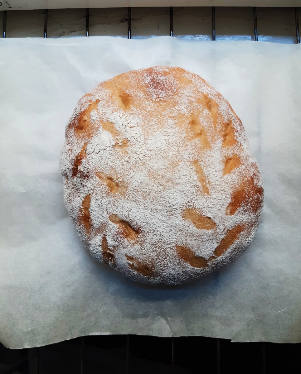 2020-04-26 03.24.27 2.jpg