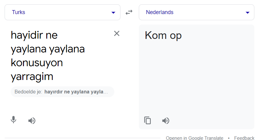 2022-03-12 15_53_06-vertalen - Google Zoeken.png