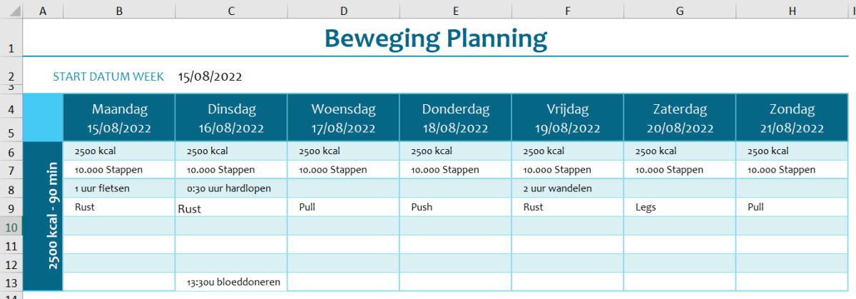 2022-08-15 15_41_16-Planning - Excel.png
