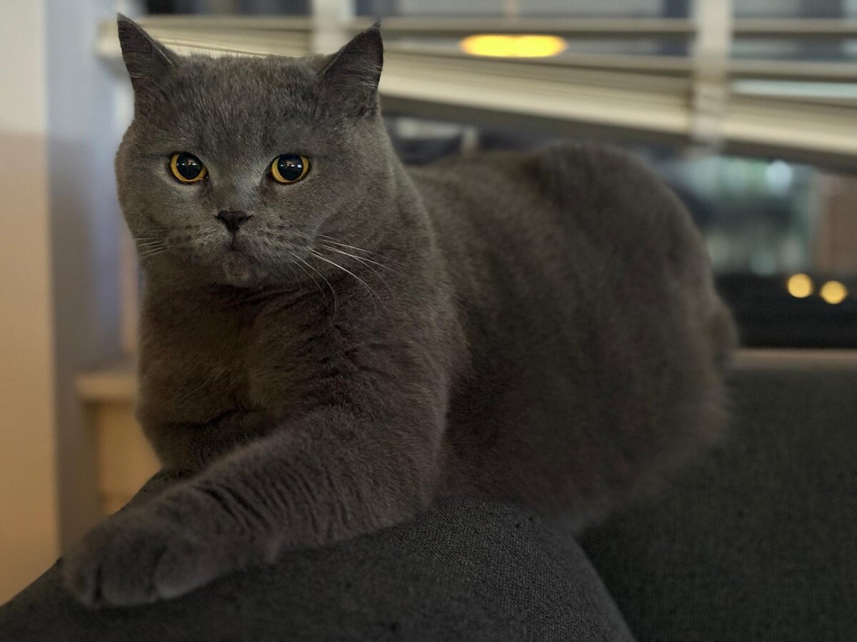 2024-12-24 at 17.11.10.jpeg