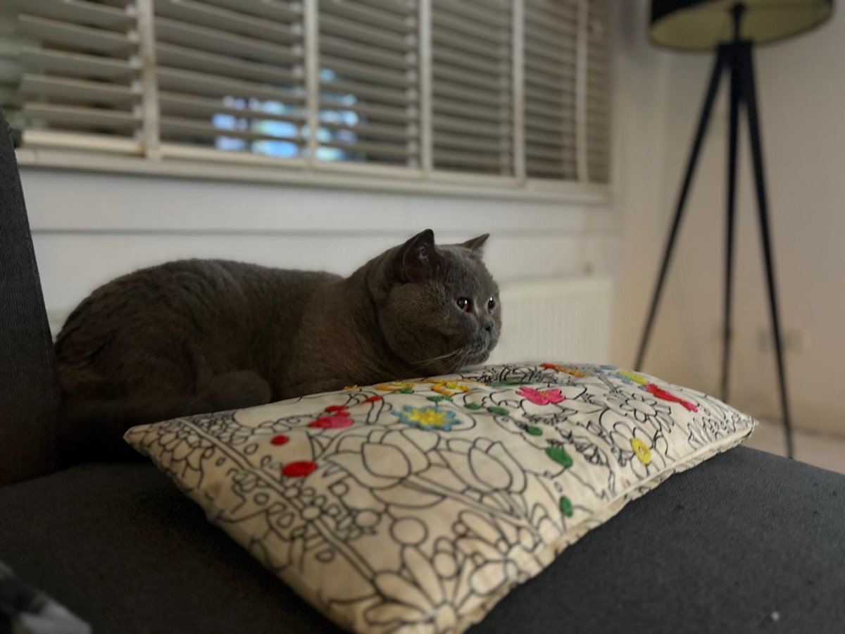 2025-01-17 at 17.06.23.jpeg