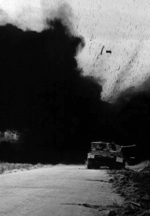 241dcbdab9141c5fa0a799558116b3bb (1).jpg