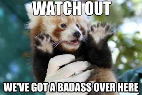 25912-watch-out-weve-got-a-badass-over-here.jpg