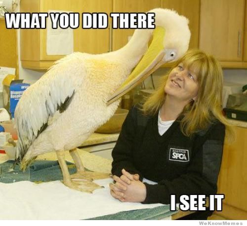 3319331-what-you-did-there-i-see-it.jpg