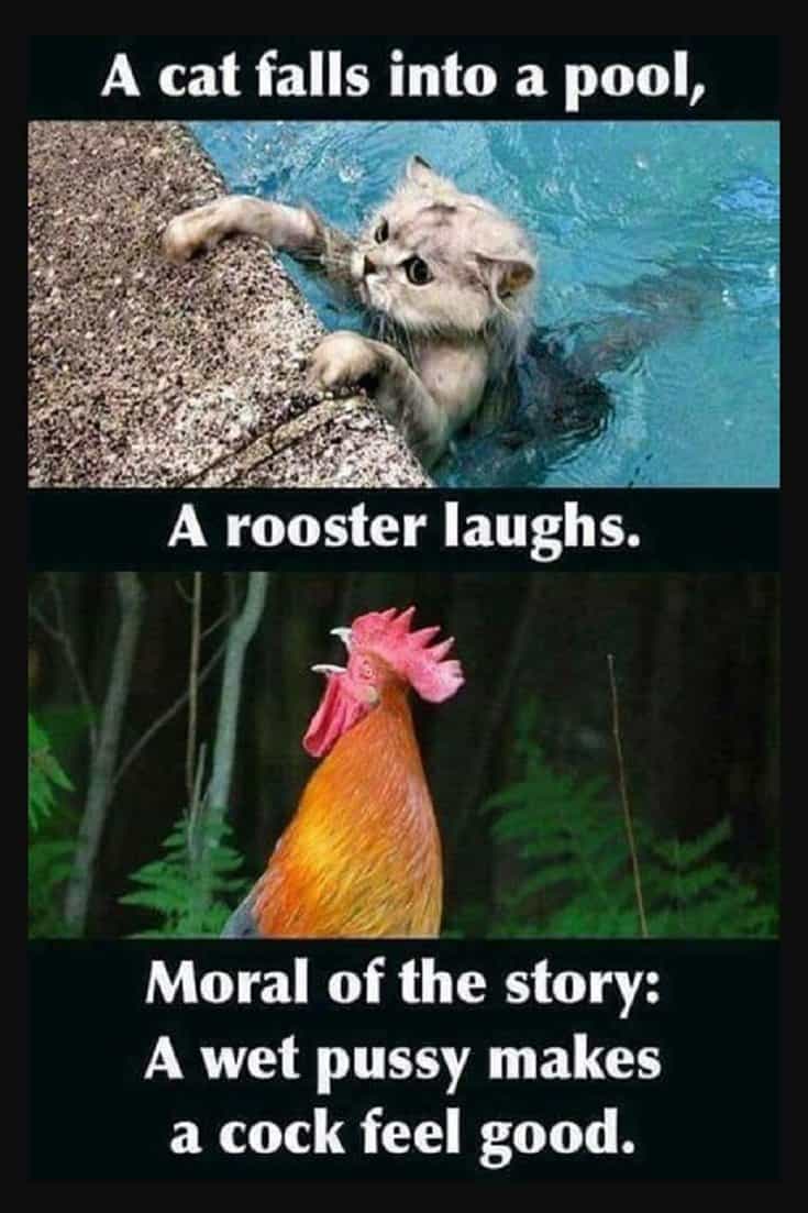 42-Funny-Memes-And-Hilarious-Sayings-3-3391013578.jpg