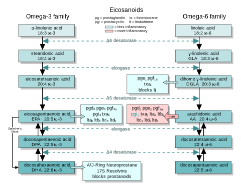 480px-EFA_to_Eicosanoids.svg.png