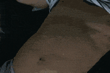 5D9E3EFD-3201-4294-834C-3D72A9707D98.gif