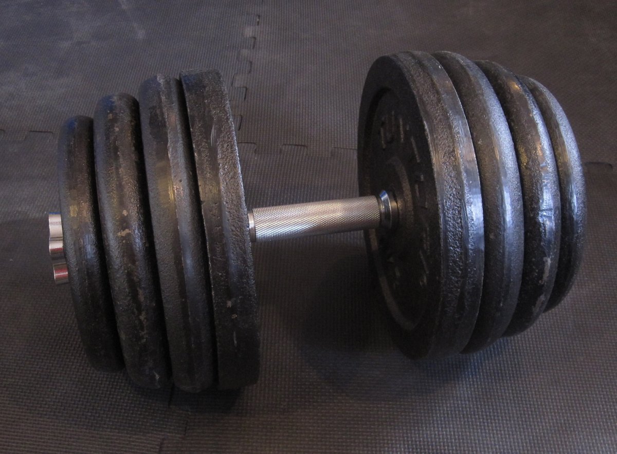 72,5kgdumbbell.jpg