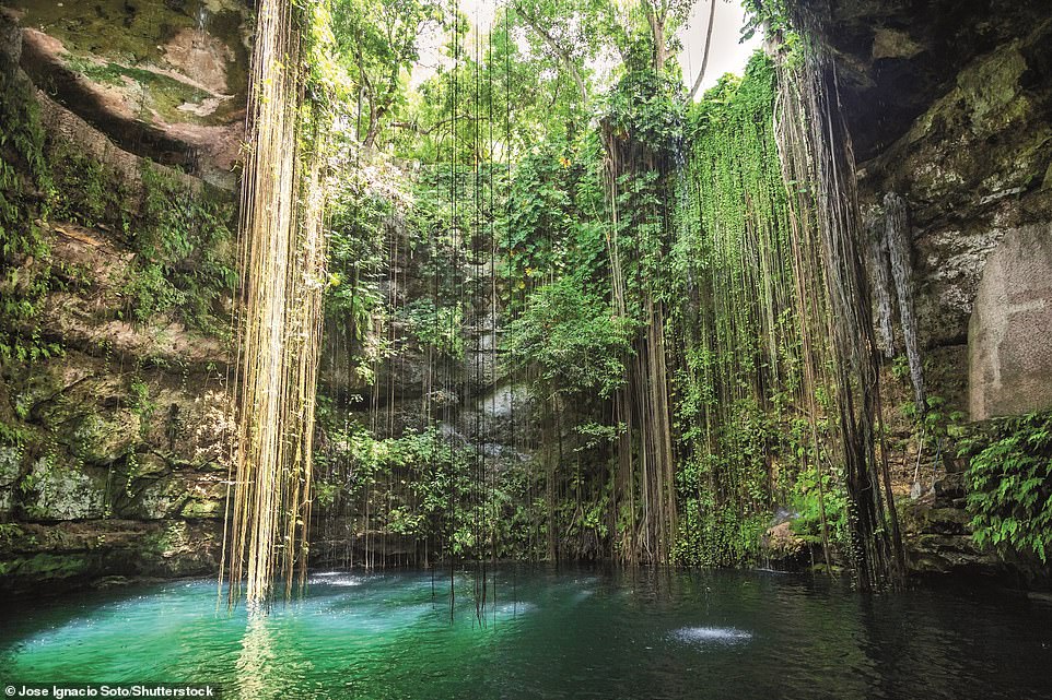 8386-7182559-The_Maya_quite_reasonably_venerated_Ik_Kil_s_cenote_a_groundwate-a-14_1562060752317.jpg