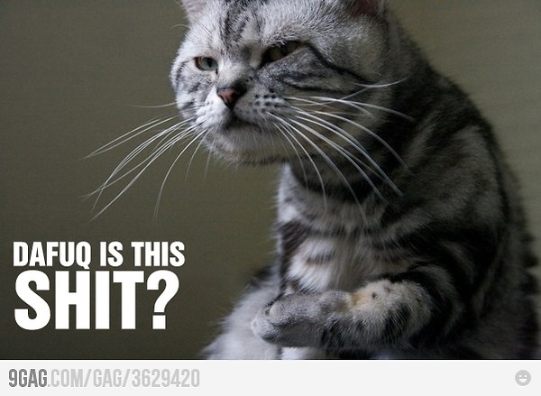 a.aaa-DAFUQ-IS-THIS-SHIT.jpg