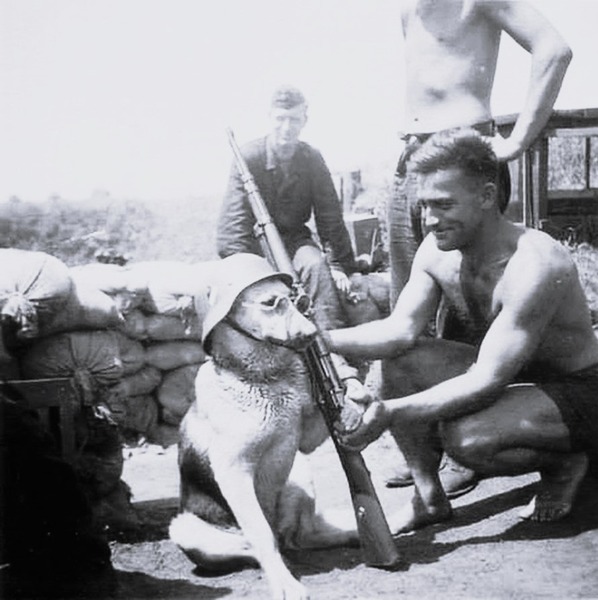 A-dog-being-posed-by-a-German-soldier (1).jpg