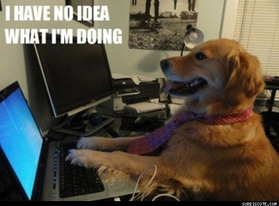 a980a3d1_I_Have_No_Idea_What_I_m_Doing.jpg