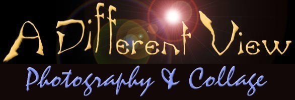 A_Different_View.jpg