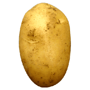 aardappel2.png