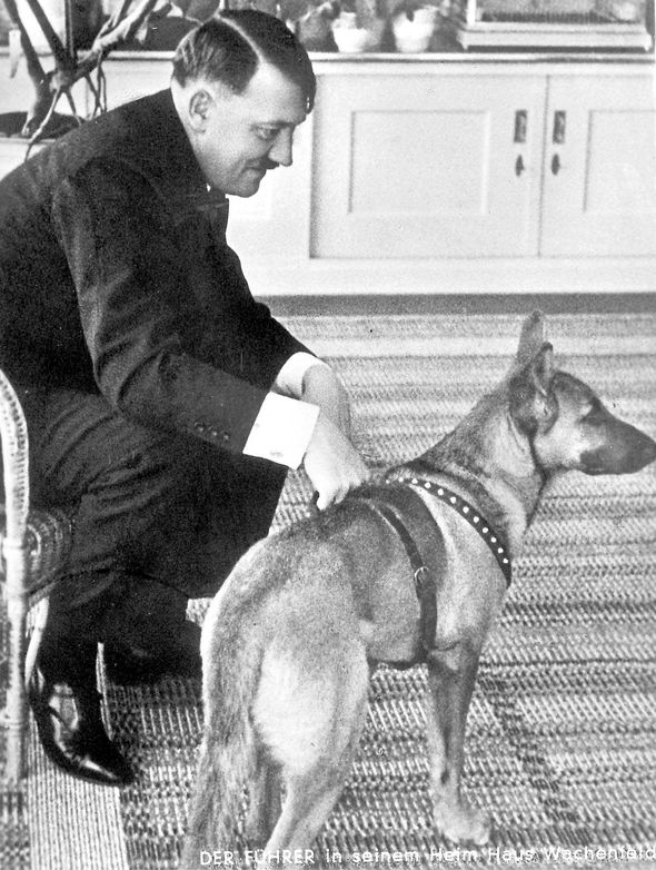 Adolf-Hitler-dog-Blonda-884196.jpg