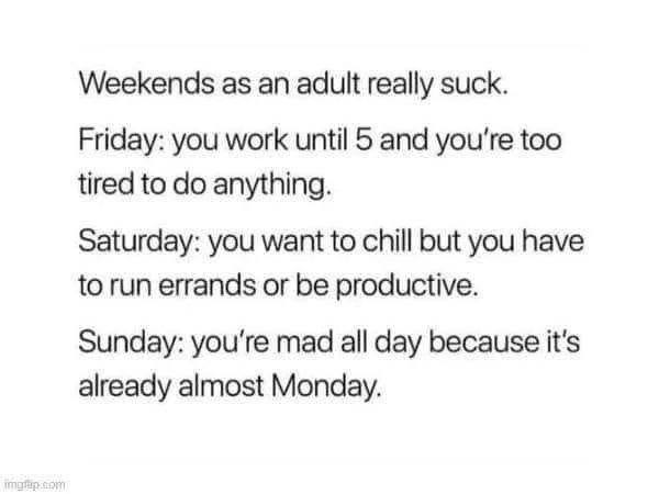 Adult-weekends-are-a-myth-1748875642471.jpg