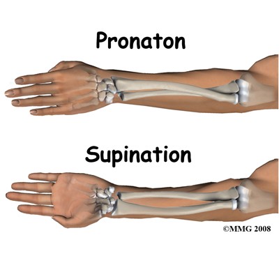 adult_wrist_fx_anatomy05.jpg