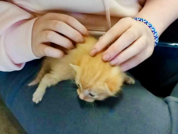 Afbeelding van WhatsApp op 2024-05-04 om 17.12.09_646727fd (1).jpg