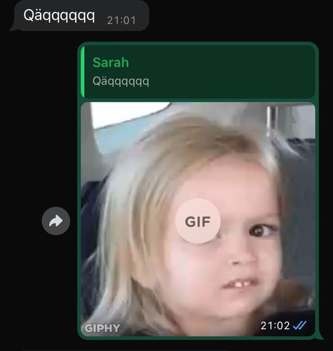 Afbeelding van WhatsApp op 2024-08-28 om 12.25.24_e542fe57 (1).jpg