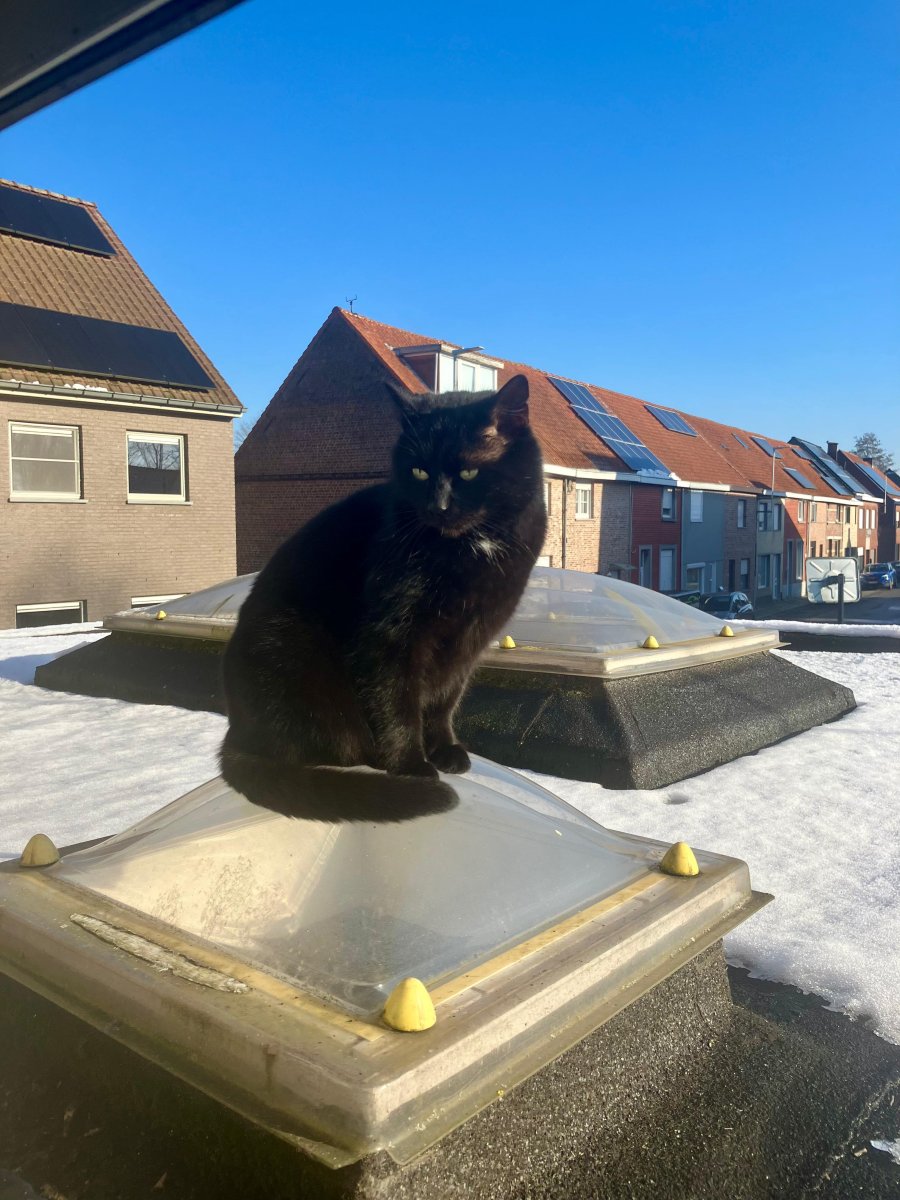 Afbeelding van WhatsApp op 2025-01-17 om 09.08.46_9619975c.jpg