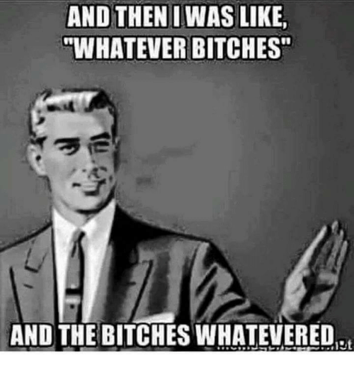 and-then-i-was-like-whatever-bitches-and-the-bitches-4792742.png