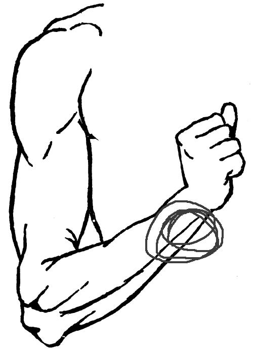 arm_1_lg.JPG