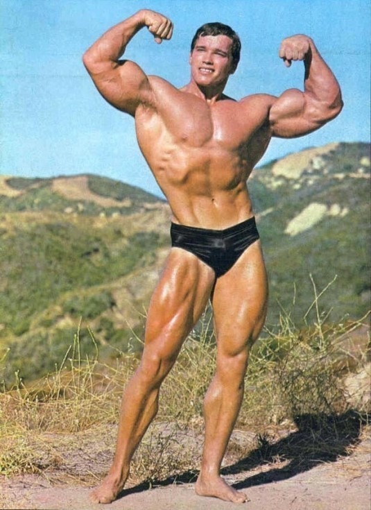 Arnold%20Schwarzenegger.jpg